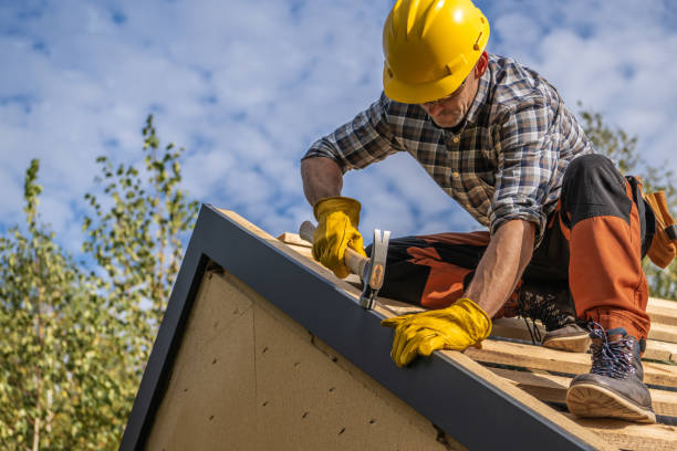 revives roofing